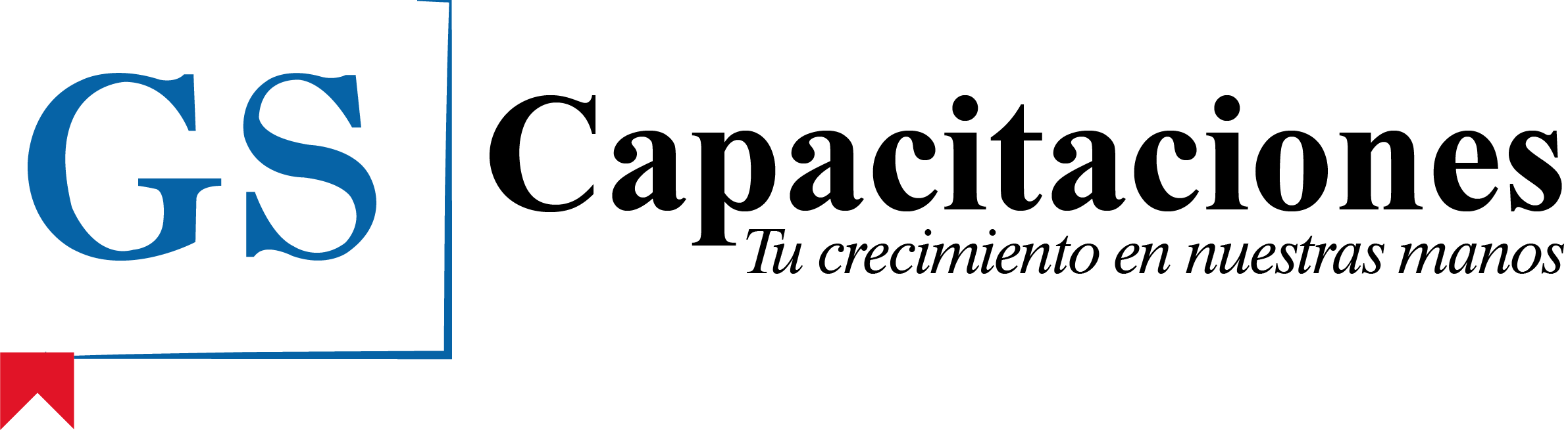 GS CAPACITACIONES